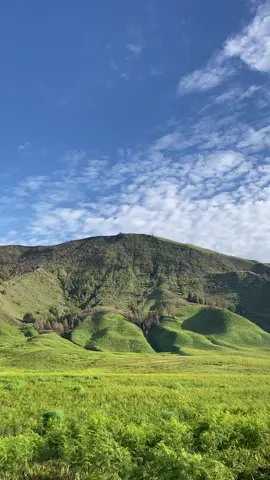 SAVANA YANG SEMPAT HITAM KINI SUDAH KEMBALI HIJAU🍃🌱 #bromo #mountain #bromotenggersemeru #jawapride #jawatimur #malang 