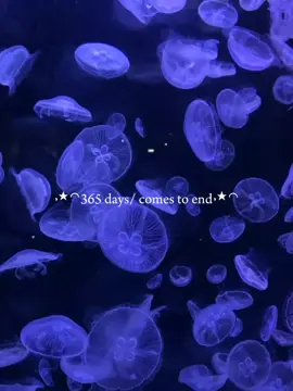 2023 recap duvet | 84 clips #fyp #2023recap #2023dump #2023memories #duvet #aesthetic #templatecapcut #capcut 