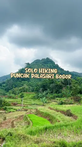 Sepi banget woyy 😭 #solohiking #fakesituation⚠️ #puncakpalasari #naikgunung #LiburanAntiBelang #juaranyasunscreen 