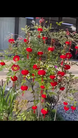 Đèn Lồng Nhung Mini -treo trang trí cây cảnh cây đào, mai , quất... 💥💥 Đèn lồng đỏ nhỏ bọc nhung đỏ rực rỡ  Đế và nắp mạ vàng Đúng gam màu không khí Tết Màu đỏ tượng trưng sự may mắn - thịnh vượng #denlongtreocay #denlongtrangtritet #dentreo #longdenmini #longdennhung #longdenthongoc 