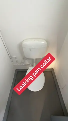 #plumbingmaintenance #plumbingapprentice #plumbingmelbourne #plumbing #trending #viral #replacetoilethinges #satisfying #toiletpancollar #follow #caulking#caulkinglikeapro #australianapprentice #melbourneapprentice 