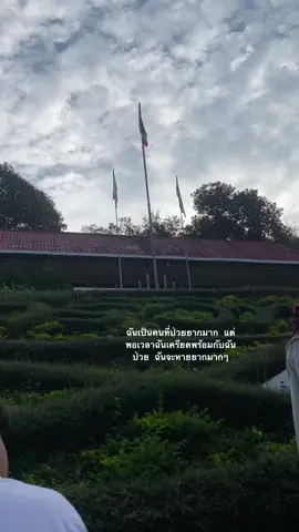 #เธรด #ฟีด #เธรด #ฟีด #เธรด #ฟีด #เธรด #ฟีด #เธรด #ฟีด #เธรด #ฟีด #เธรด #ฟีด #เธรด #ฟีด 