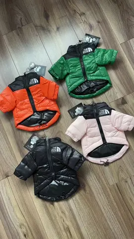 #thenorthface #thedogface #dogjacket #foryoupage #foryou #fyp #orange #green #black #powderpink 🐾