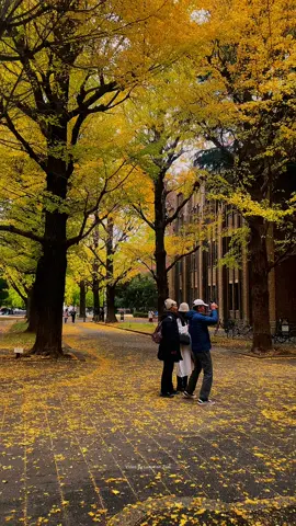 Đây là video gốc chưa qua chỉnh sửa, các bạn lưu về chỉnh màu nha ❤️