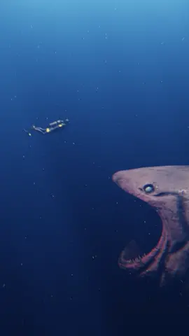 Humans encounter the bloop monster  #thalassophobia #deepsea