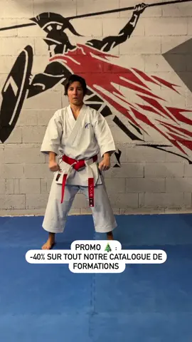 🎄PROMO NOËL : -40% sur tout notre catalogue de formations (LIEN EN BIO ) jusqu’au 24 déc minuit. 👉ou directement ICI : https://formations.booste-ton-karate.com/?coupon=NOELKARATE40 Tu souhaites aller plus loin, c’est une belle opportunité. Tu as le choix avec toutes nos formations : 📌Tu veux passer tes grades :  👉Pack réussite, premier Dan, et deuxième Dan 📌Tu vas améliorer tes coups de pieds : 👉Formation Coup de pieds esthétiques et performants 📌Tu veux améliorer et te perfectionner dans les techniques de base : 👉Formation les techniques de base, 📌Tu veux te perfectionner dans les déplacements : 👉Formation les déplacements. 📌Tu veux te perfectionner dans tous les katas : 👉Formation kata, analyse complète et détaillée LIEN EN BIO où directement ICI ✌️ https://formations.booste-ton-karate.com/?coupon=NOELKARATE40 #boostetonkarate #formationkarate #karatetraining #karatetechniques #karateteam #karatetradicional #kata #bunkai #karatevideo #karatekata #karatekicks #karatekick #karatedo #karatelife #karatelove #karatelifestyle #karatelover #karateshotokan #karatespirit #karateshow #karateschool #karatêshotokan #karatesuit #karategi #karategirls #karatefamily #karateforlife #karatefriends #karatenations #karateworld   