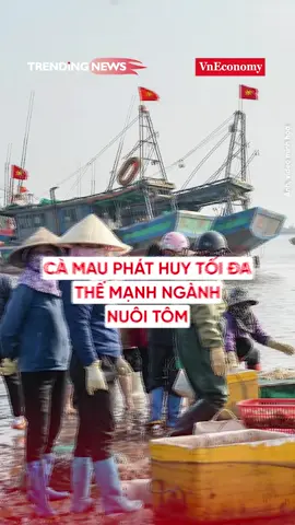 Cà Mau phát huy tối đa thế mạnh ngành nuôi tôm #vneconomy #trendingnews #tintuc #taichinh #tiktoknews #genzlife #kinhte #thitruong #AntiFakeNews #TikTokAwardsVN2023 #LearnOnTikTok