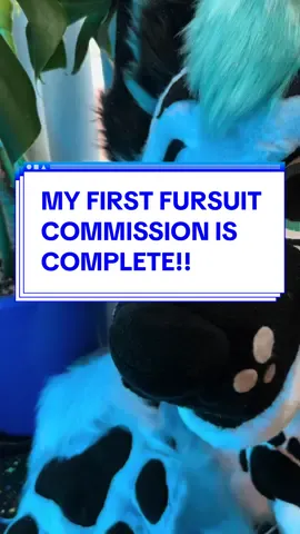 Indroducing… ARIZONA FOX✨ my first ever commission is completed! more to come very soon 👀 #furry #fursuit #fursuiter #furrytiktok #furryfandom #fyp #foryou #fursuitmaker #fursuitmaking 