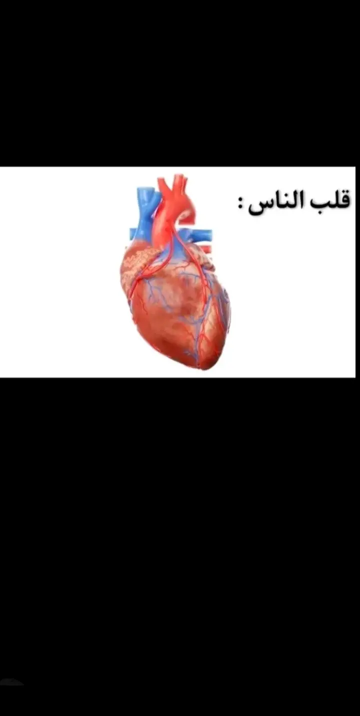 #سوريا_حبيبتي #الله_يفرجهاا_على_شعب_سوريا_قولو_امين #الثورة_مستمرة #احرار_حماه_ادلب_حلب_حمص_درعا_ديرالزور #احرار_سوريا #احرارالثورة #اكسبلورexplore #ادلب #الساروت #تصميم_فيديوهات🎶🎤🎬 #virl #fypシ #tiktok #💚🥀🖤 