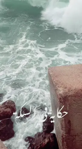 #الله  #اللهم_صلي_على_نبينا_محمد  #viral #fy  #foryou  #foryourpage  #حكايه_في_السكة  #مشاهير_تيك_توك  #متابعه_ولايك_واكسبلور_احبكم 