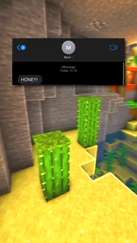 The End 💀 | #text #texting #funnytexts #textstory #minecraftparkour