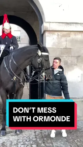 You DON’T WANT TO MESS WITH ORMONDE. #horseguardsparade #changingoftheguards #thekingsguards #horse #foryoupage #tiktokviral #tiktokbeta #fyp #foryou #fypシ #fanpage #tourists #London #trending #tiktokuk #London#trending #follow #subscribe #like #share 