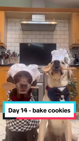 I hope Santa doesn’t watch this one 😬