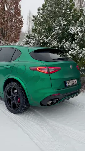 ❄️🍀❄️💚❄️ #alfaromeo #quadrifoglio #alfalovers #alfaromeopassion #quadrifoglioverde #italiancars #alfaromeostelvio #alfavirus #alfisti #stelvioquadrifoglio #lameccanicadelleemozioni #alfa #sportsuv 