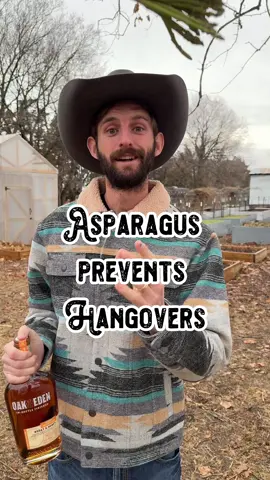 Let’s get asparagus wasted! 🤪 Did you know eating asparagus can protect your liver from toxins and the enzymes inside will help break down alcohol helping to alleviate a hangover? 🍻 #asparagus #vegetable #vegetables #fact #facts #tip #tips #funfact #funfacts #wow #cool #Science #food #Foodie #foodblogger #DidYouKnow #alcohol #drinking #whiskey #hangover #hungover #helpful #remedy #homeremedies #LifeHack #hack #farm #farming #garden #shilohfarm #drink #drinking #farmtok #hack #foodtiktok #Foodie 