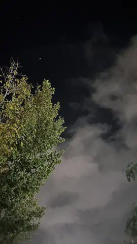 #CapCut #محمد_بن_فطيس #قصايد 