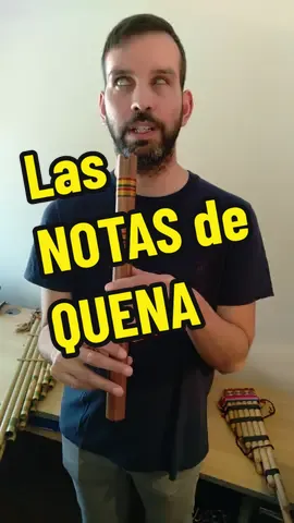 Las NOTAS de QUENA. Si no sabés como tocar la quena, aca te explico como hacer las notas básicas. Apoyame con tu comentario y compartí este video.  #quena #instrumento #instrumentomusical #aprender #educacion #educacionmusical #aprenderquena #tocar#quenacho quena #notasmusicales #notasdequena 