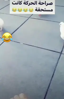 #foryou #foryourpage #fyp #viral #viralvideos_07💕 #funnyvideosforyou #tiktoklongs #اضحك_للدنيا_تضحك_لك 