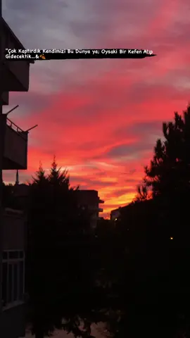 Nedir bu insanlardaki olan telaş🍂 #wpsözleri #yazın #kşftt #duygusalvideolarr #aydn__04 