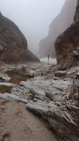 #العراق #الكوت #زرباطيه#في .جبال زاكروس