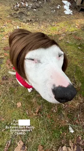 Order a Cameo as the POYfect holiday gift!! #karenbark #cameo 