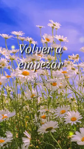 Volver a empezar - Alejandro Lerner #musicaparati #volveraempezar #alejandrolerner #recuerdosmusicales #exitosinolvidables #musicaromanticas 