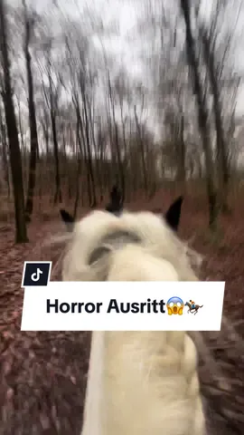 Was heute passiert ist hätte auch ganz blöd ausgehen können. Story time dazu kommt morgen😱. IG:balus_crew #fy#ausreiten#runterfallen#pferdegehendurch#fail#unfall#eisenab#verletzt#panik#power#fypシ゚viral  