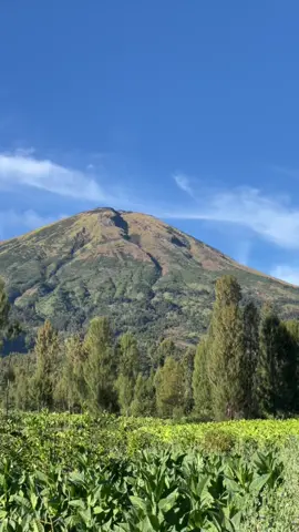 ketenangan sesungguhnya adalah dapat view sebagus ini⛰️  📌 Canggal, Temanggung  #temanggung #temanggunghits #story #mentahanvideo #mentahan #storytime #storywa #storywhatsapp #stories #healing #wonosobo #fyp #fypシ #wonosobozone👫📷 #canggal #vidioviral 