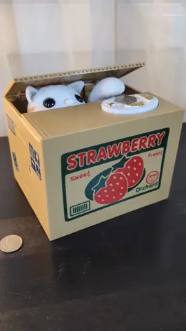 This #cat in box piggy bank will 