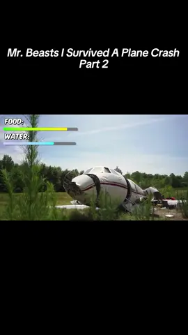Mr.Beasts I Survived A Plane Crash Part 2   #fyp #Viral #mrbeastchallenge