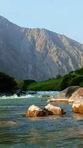 Corazón Embustero 💞 #lagrandedemadrid #salsa #salsaromantica #salsabaul #exito #fama #parati #musica #cantante #album 