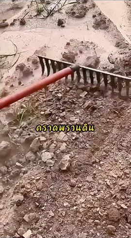 คราดพรวนดินถากหญ้า #คราดถากหญ้า #คราดเหล็ก #คาดหญ้าเหล็ก #คราดพรวนดิน 