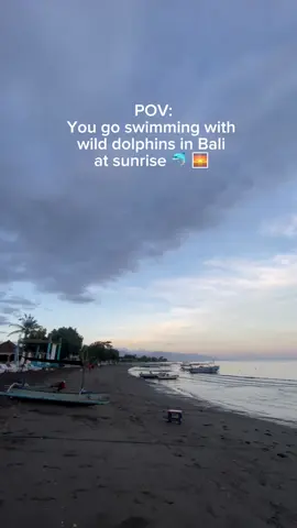 Setting the alarm at 3 am only for swimming with wild dolphins 🐬🌅 #fyp #foryoupage #lovinabeach #dolphins #lovinadolphins 
