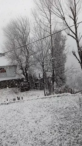 #plese_tiktok_for_you #plese_support_me #unfrezzmyaccount #کشمیرکےدلکش۔نظارے 