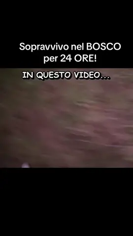 Sopravvivo nel BOSCO per 24 ORE! #theboys #sopravvivo #bosco #ore 