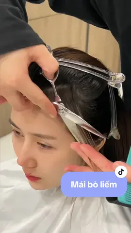 Ép định hình mái bò liếm để mái cực xinh cho nàng! #xuhuong #minhrhairquan7 #máibòliếm #tráncao #tránbòliếm #épmái #duỗimái #cắttócmái #tócmái #máibay #cắttócđẹp #salonquan7 #salontocquan7 