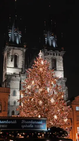 📍🇨🇿🎄 The Christmas market in Old Town Square (Staromestské námestí) is a magical and festive attraction in Prague during the holiday season. The square is transformed with numerous stalls offering a variety of festive goods, handmade crafts, ornaments, and holiday decorations. It's a great place for unique and traditional Christmas shopping. #czechrepublic #oldtownsquareprague #czechia #прага #praguecitytourism #praguecity #praguetrip #cesko #prag #czechrepublic🇨🇿 #praha #christma #charlesbridge #snowing #ceskojekrasne 