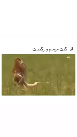#هاشتاق_الصيني_ماله_حل😂😂 
