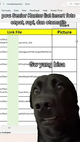 kamu harus bisa cara ini. Insert foto dari link GD otomatis, cepat, rapi. Kamu bisa lebih keren 10 kali dari senior yang tahunan pakai cara manual. Kamu bisa share VT ini, FYP ada kursus gratis seputar macro excel.  #insertpicture #insertgambar #macroexcel #trickexcel #tipsexcel #vbamacro #vbaexcel #belajarexcel 