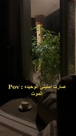 #اكسبلور #السعودية #الحب 