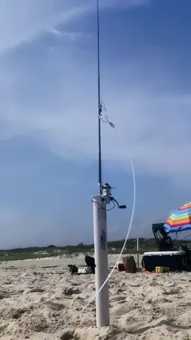 New Shark SetUp Goes Hard 😤  #thefishermeng #fishing #southshore #bunker #shark #sharkfishing #beachlife #sunrise #sunrisephotography #beautiful #nature #naturephotography #youtube #youtuber #fishingyoutubers #centralpark #NYC #nyclife #centralparkactivites #centralparkfishing #snook #snookfishing #snookcatching #largemouthbass #carp #carpfishing #nyfishing #nyfishingcharters 