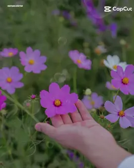 #သူသာလေညှင်းလေးဆို 