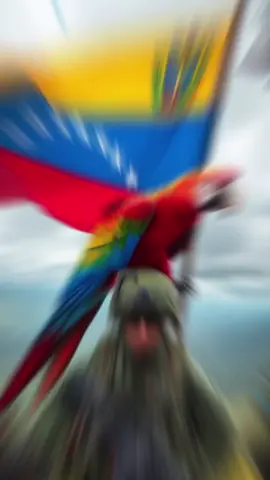 #ejercito #aviacion #armada #gnb #fanb saludos amigos he realizado este pequeño vídeo con el fondo de la diana Carabobo, cómo un homenaje a los hombres y mujeres de armas. Saludos 