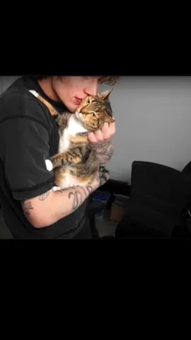 how cute they are ❣️😍❤️‍🩹 #vinnie #vinniehacker #viral #cat #hera 