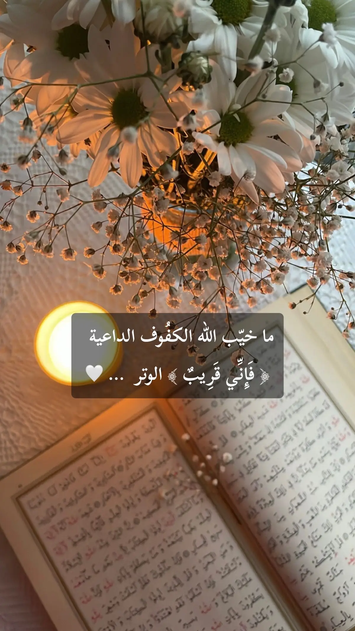 #اكسبلور #الوتر #قرآن #اذكروا_الله #لا_إله_إلا_الله 