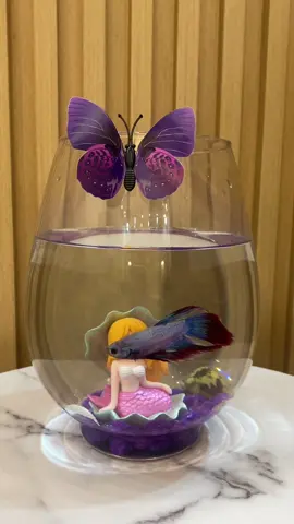 للطلب واتس🤍.#هدايا_جازان #سمك_فايتر #فايتر #جازان #هدايا_حب #صامطه 