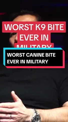 Do you think you could take a military canine? #navyseal #foryoupage #shawnryanshow #military #k9 