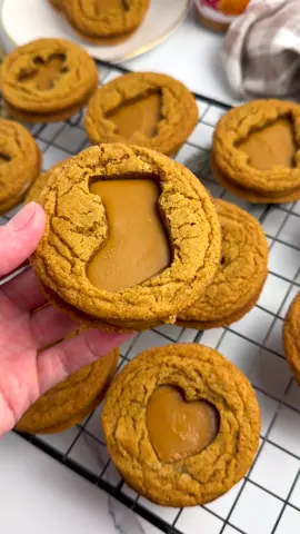 These Ginger Cookie Butter Sandwich Cookies are absolutely delicious and so festive just in time for the Holiday season 😊🤎 Recipe on website, link in bio!! 🤎 #Recipe #christmascountdown #christmasrecipes #thesqueakymixer #christmastiktok #recipes #christmascake #christmasrecipe #cookies #christmascookies #cookierecipe #ginger 