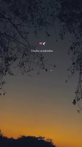 Pennae² poladha pei intha kadhal 😩💗 #views #blacklyrics🖤🍃 #comment #foloowers #blowpers #lyricsvideo #enjoy #morelyric_ #Viral #tag #request #1mlikes🤍 #tamilpasange #yethayyyyy🔥🤣🤣🤣🤣🤣🤣🤣 