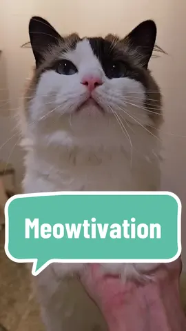 This tall baby believes in you
